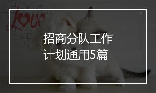 招商分队工作计划通用5篇