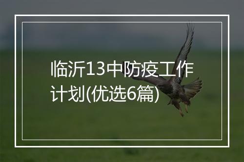 临沂13中防疫工作计划(优选6篇)