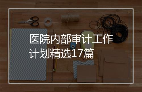 医院内部审计工作计划精选17篇