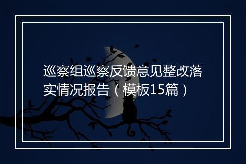 巡察组巡察反馈意见整改落实情况报告（模板15篇）