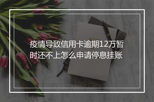 疫情导致信用卡逾期12万暂时还不上怎么申请停息挂账
