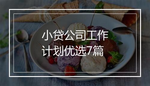 小贷公司工作计划优选7篇