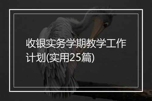 收银实务学期教学工作计划(实用25篇)