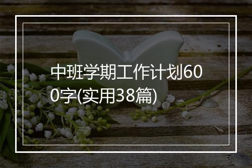 中班学期工作计划600字(实用38篇)