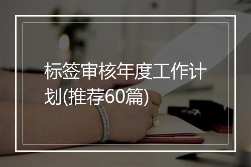 标签审核年度工作计划(推荐60篇)