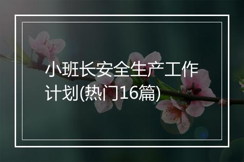 小班长安全生产工作计划(热门16篇)