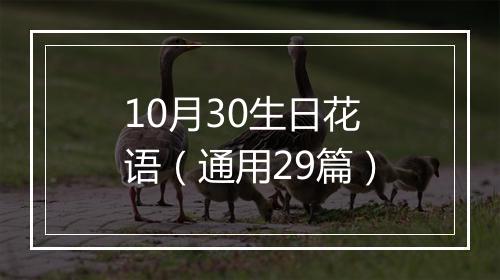 10月30生日花语（通用29篇）