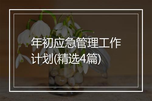 年初应急管理工作计划(精选4篇)