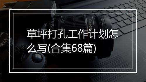 草坪打孔工作计划怎么写(合集68篇)