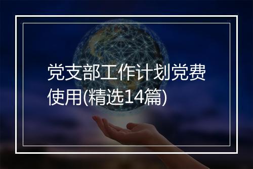 党支部工作计划党费使用(精选14篇)