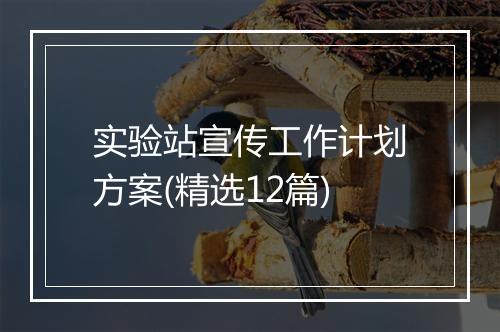 实验站宣传工作计划方案(精选12篇)