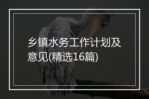 乡镇水务工作计划及意见(精选16篇)