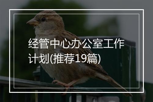 经管中心办公室工作计划(推荐19篇)
