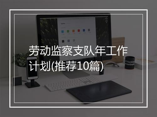 劳动监察支队年工作计划(推荐10篇)