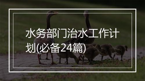 水务部门治水工作计划(必备24篇)