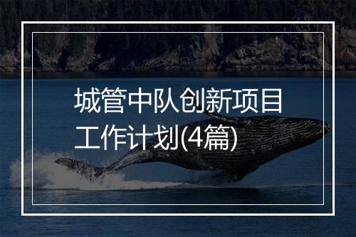 城管中队创新项目工作计划(4篇)
