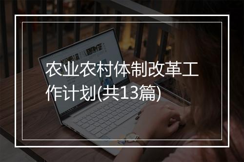 农业农村体制改革工作计划(共13篇)