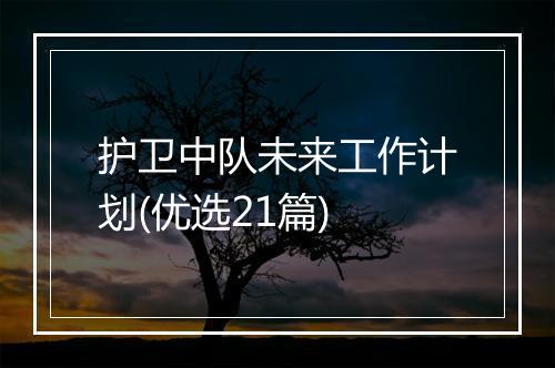 护卫中队未来工作计划(优选21篇)