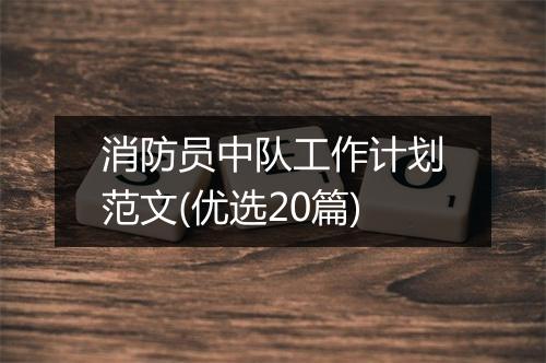 消防员中队工作计划范文(优选20篇)