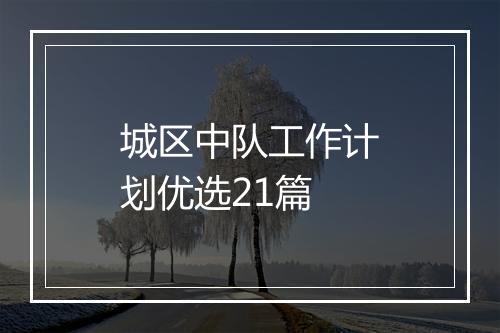 城区中队工作计划优选21篇