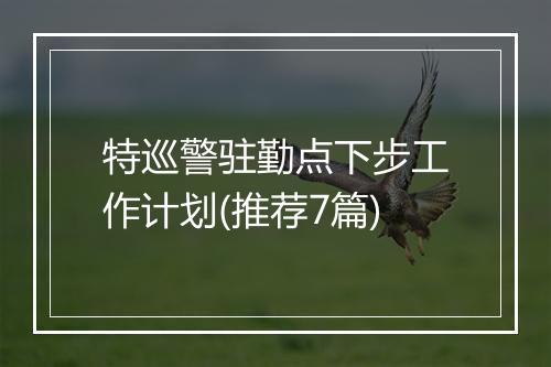 特巡警驻勤点下步工作计划(推荐7篇)