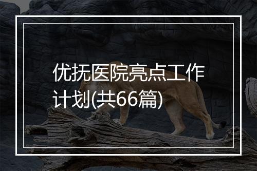 优抚医院亮点工作计划(共66篇)