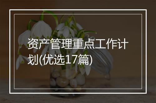 资产管理重点工作计划(优选17篇)