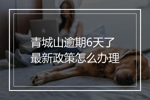 青城山逾期6天了最新政策怎么办理