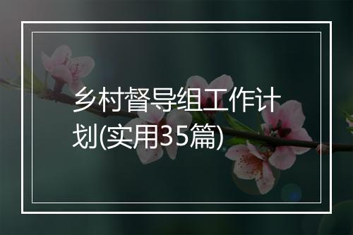 乡村督导组工作计划(实用35篇)