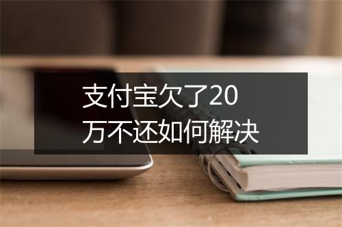 支付宝欠了20万不还如何解决