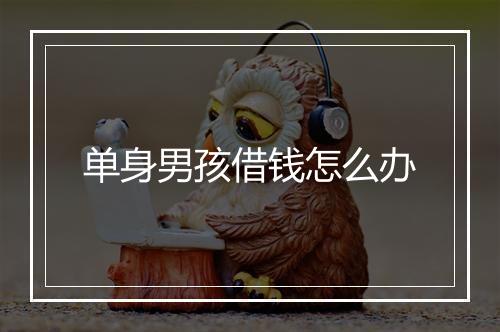 单身男孩借钱怎么办