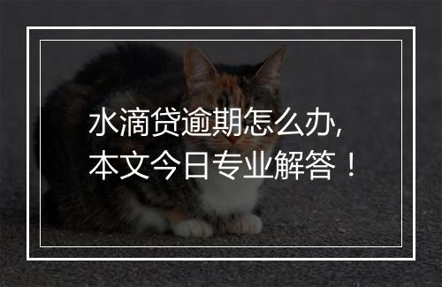 水滴贷逾期怎么办,本文今日专业解答！