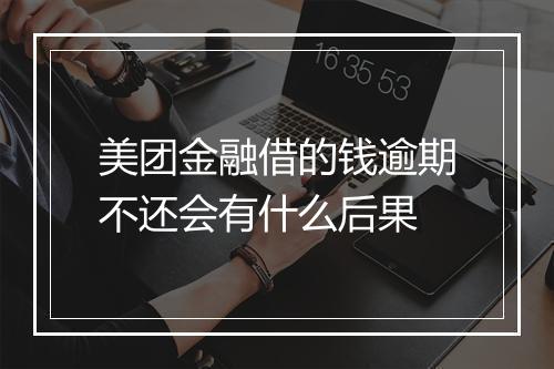 美团金融借的钱逾期不还会有什么后果