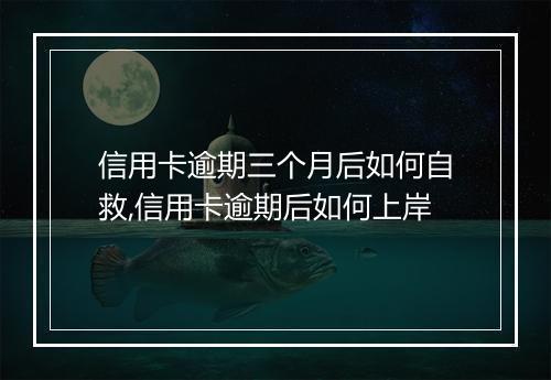 信用卡逾期三个月后如何自救,信用卡逾期后如何上岸