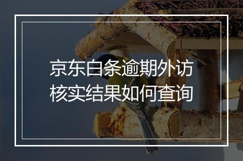 京东白条逾期外访核实结果如何查询