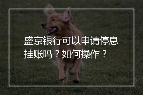 盛京银行可以申请停息挂账吗？如何操作？