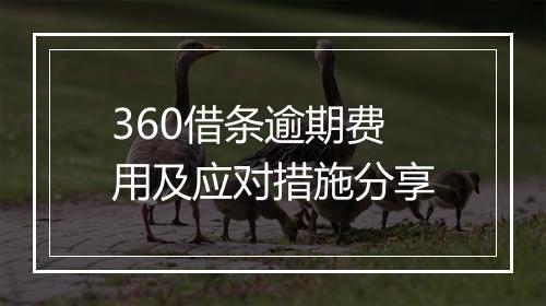 360借条逾期费用及应对措施分享