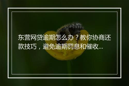 东营网贷逾期怎么办？教你协商还款技巧，避免逾期罚息和催收骚扰