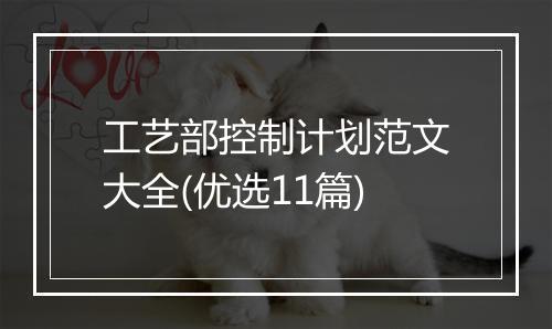 工艺部控制计划范文大全(优选11篇)