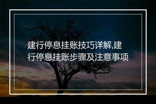 建行停息挂账技巧详解,建行停息挂账步骤及注意事项