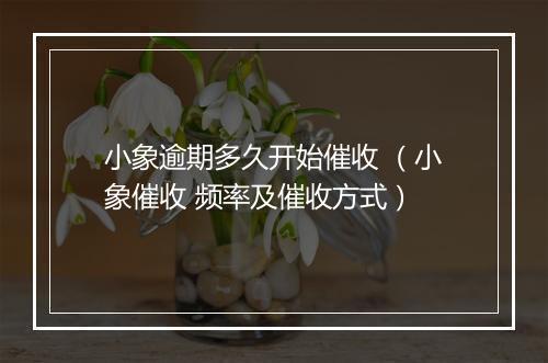 小象逾期多久开始催收 （小象催收 频率及催收方式）