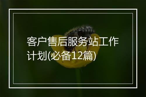 客户售后服务站工作计划(必备12篇)