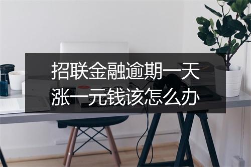 招联金融逾期一天涨一元钱该怎么办