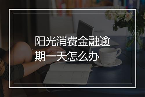 阳光消费金融逾期一天怎么办