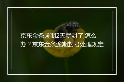 京东金条逾期2天就封了,怎么办？京东金条逾期封号处理规定