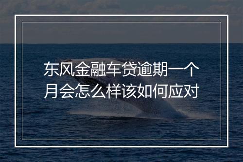 东风金融车贷逾期一个月会怎么样该如何应对