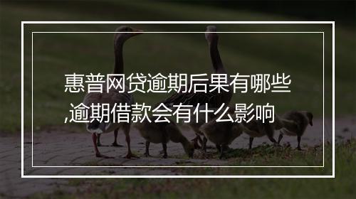 惠普网贷逾期后果有哪些,逾期借款会有什么影响