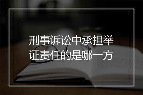 刑事诉讼中承担举证责任的是哪一方