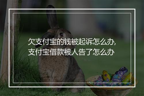 欠支付宝的钱被起诉怎么办,支付宝借款被人告了怎么办