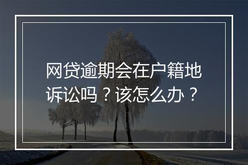 网贷逾期会在户籍地诉讼吗？该怎么办？